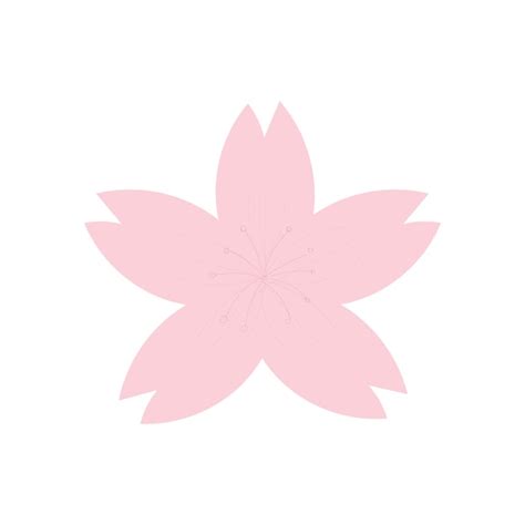 Flor De Cerezo Sakura Flor Icono Vector Vector Premium