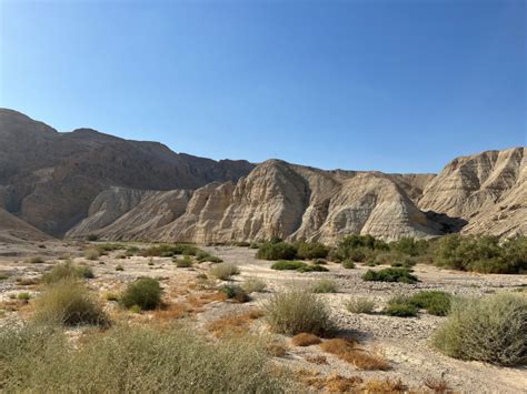 Video Wat Iedere Christen Zou Moeten Weten Over Qumran Cvandaag Nl