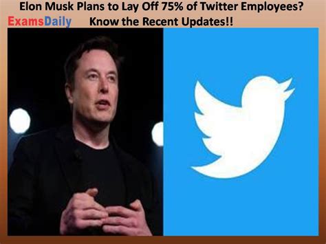 Elon Musk Plans To Lay Off 75 Of Twitter Employees Know The Recent