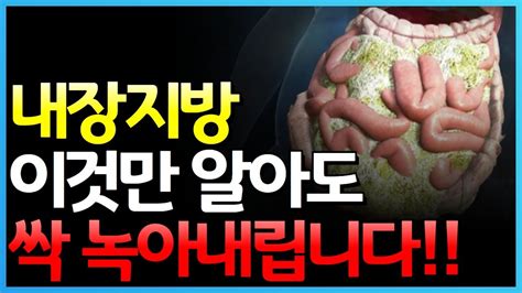 한달에 건강하게 5kg 빼기 7 가지 원칙 중년 여성 다이어트 꿀팁 Youtube