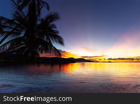 230 Silhouette Coconut Tree Free Stock Photos StockFreeImages