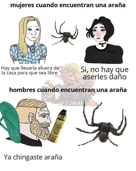 Ya chingaste araña Meme subido por Vatoman Memedroid