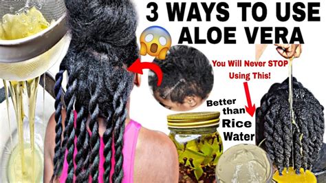 No Jokes Ways I Use Alove Vera For Massive Hair Growth Use Aloe