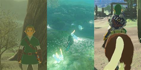 Zelda Breath Of The Wild Flower Shrine Best Flower Site