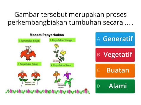 Perkembangbiakan Tumbuhan Secara Generatif Quiz