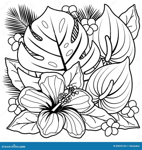 Plantes Tropicales Et Page De Livre De Coloriage De Fleurs De Ketmie