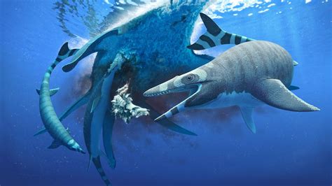 Mini sea monster had teeth as sharp as a saw blade | Live Science