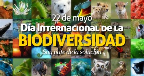 Día Internacional De La Diversidad Biológica Colegio Poeta Rubén Darío