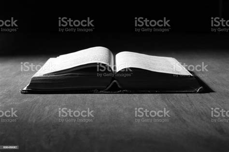 Holy Bible Stock Photo Download Image Now Adult Bible Book Istock