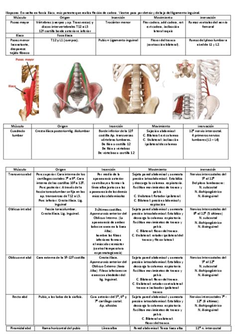 Resumen Tema 12 Pdf