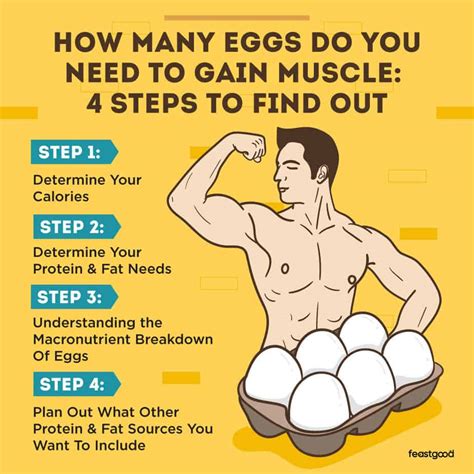 How Many Eggs Should You Eat To Gain Weight A Coach Answers