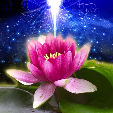 Anuradha Nakshatra Online Astrology Prediction By Best Astrologer