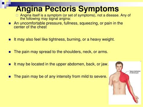 Ppt Clinical Pharmacology Of Antianginal Drugs Powerpoint