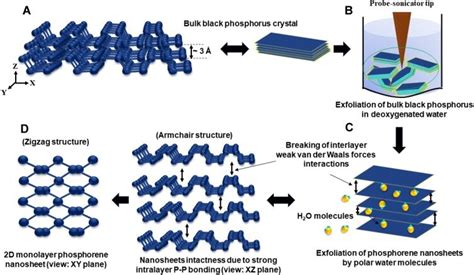 Schematic Representation Of Few Layer Bp Nanosheet Synthesis By Liquid