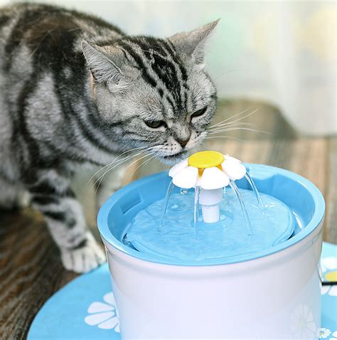 Automatic Flower M 1.6l Cat Water Bowl Fountain