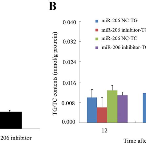 Effects Of Mir On Tg And Tc Composition In Hepg Cells A Hepg