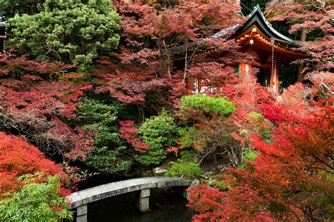 Japanese Gardens, Kyoto, Japan