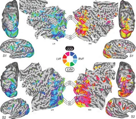 Figure 1 From Prioritized Maps Of Space In Human Frontoparietal Cortex Semantic Scholar