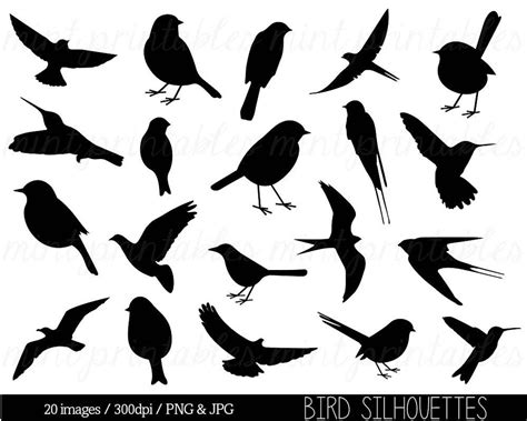 Bird Clipart Clip Art, Bird Silhouette Clipart, Cute Bird, Animal ...