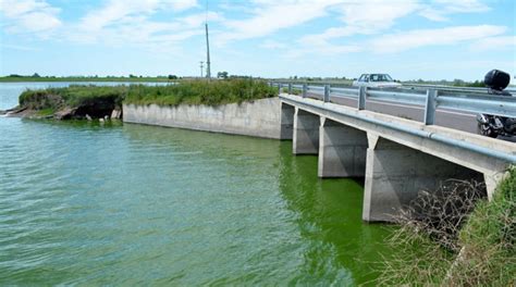 Contin A El Alerta Por Cianobacterias En La Provincia De Buenos Aires