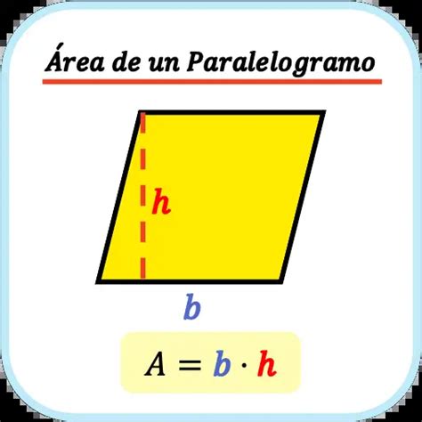 Retorcido Dictador Pelearse Formula Para Calcular La Superficie De Un