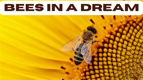 What Is The Spiritual Significance Of Bees In A Dream