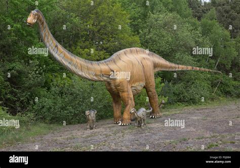 Diplodocus A Large Herbivorous Extinct Sauropod Dinosaur Of The Jurassic Period Dinosaurier Park