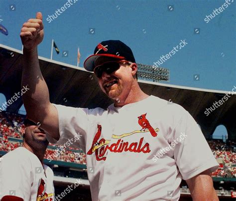 Mcgwire St Louis Cardinals Slugger Mark Editorial Stock Photo Stock