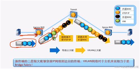 Vxlan网络虚拟化技术详解（hcie）华为vxlan培训资料 Csdn博客