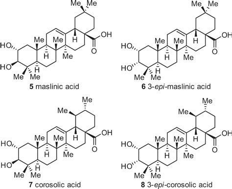 Figure From Synthesis Of Oxygenated Oleanolic And Ursolic Acid