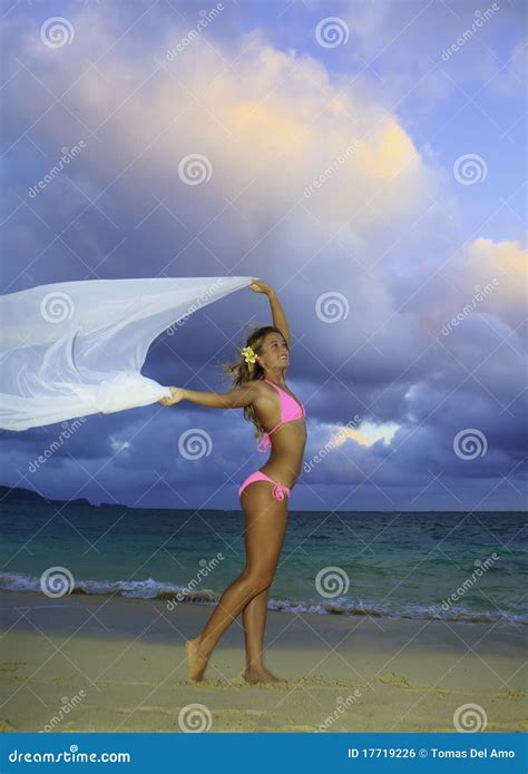 Ragazza Bionda In Bikini Ed In Chiffon Dentellare Fotografia Stock