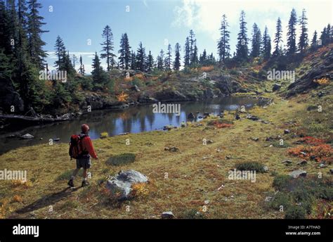 North America Usa Washington Alpine Lakes Wilderness Alpine Tarn With Day Hiker Fall Stock