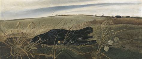 Andrew Wyeth And Birds Of War Panorama