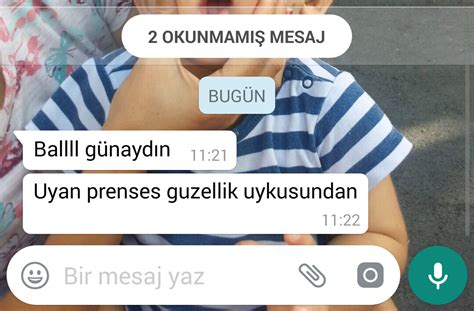 yazarlara whatsapp tan gelen son mesaj 1533675 uludağ sözlük galeri