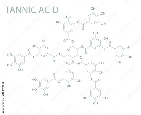 Tannic Acid Molecular Skeletal Chemical Formula Stock Vector Adobe Stock