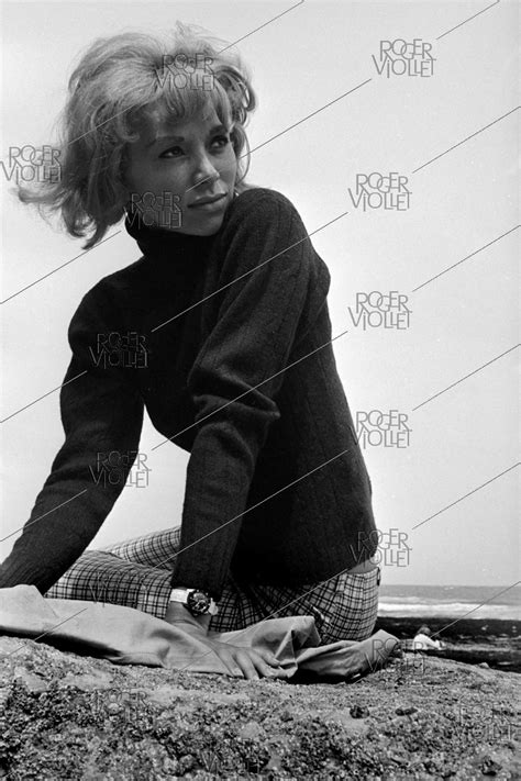 Mireille Darc 1938 2017 actrice française Photographie