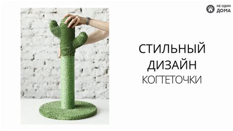 Когтеточка "Не Один Дома" Кактус - YouTube