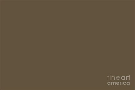 Dark Brown Solid Color Pairs Sherwin Williams Pier Sw Digital Art