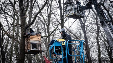 Fechenheimer Wald R Umung Laut Polizei Beendet