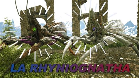 Como Tamear A Una Rhyniognatha Y Sus Habilidades Ark Survival