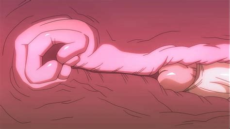 Kame Paradise Videos XVIDEOS