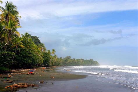 Der Nationalpark Von Cahuita Costa Rica