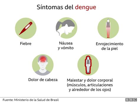 S Ntomas De Coronavirus Cu Les Son Las Diferencias Entre La Covid