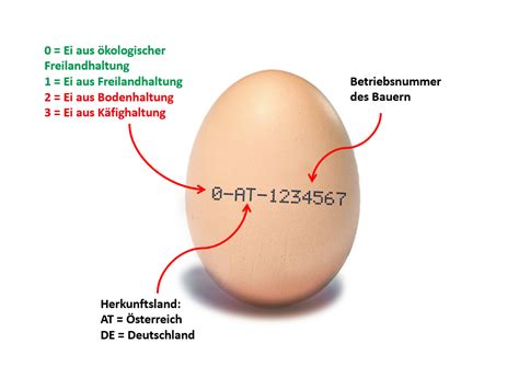 Eierkennzeichnung In Sterreich Vier Pfoten Sterreich Stiftung F R