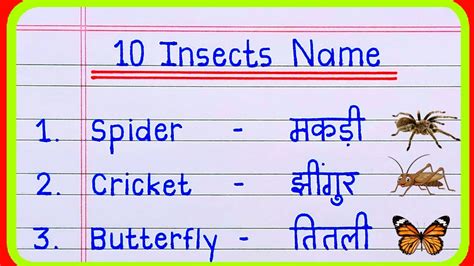 10 Insects Name In English And Hindi Insects Name Insect Name