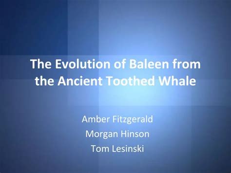 PPT - The Evolution of Baleen from the Ancient Toothed Whale PowerPoint ...