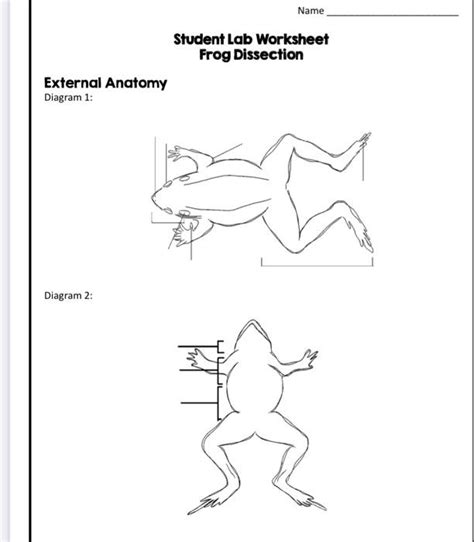 Solved Student Lab Worksheet Frog Dissection External Chegg