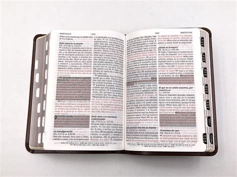 Santa Biblia De Promesas Rvr Compacta Letra Grande Imitaci N