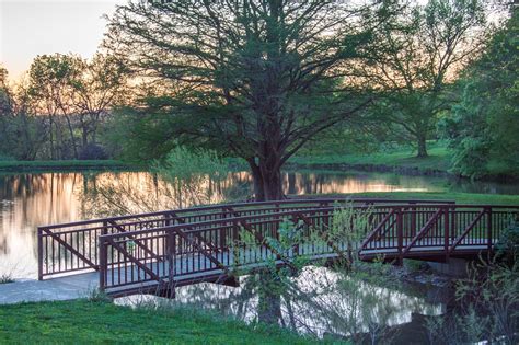 Pont Lac Des Arbres Photo Gratuite Sur Pixabay Pixabay