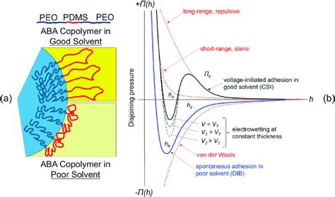 A Illustration Of Conformations Of Copolymer Molecules At The